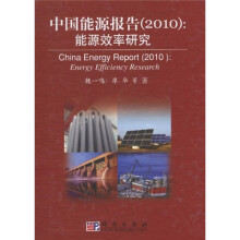 中国能源报告2010：能源效率研究