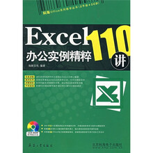 Excel办公实例精粹110讲(附CD光盘)