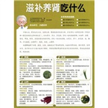 滋补养肾吃什么