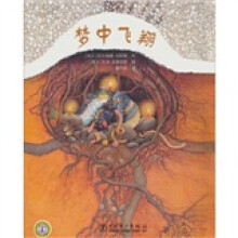 梦中飞翔