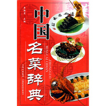 中国名菜辞典