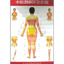 中医刮痧区位挂图（共2张）（附中医刮痧区位挂图说明书1份）