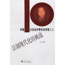 法制现代化的挑战