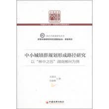 中国经济文库·应用经济学精品系列·中小城镇群规划形成路经研究：以“林中之邑”湖南郴州为例