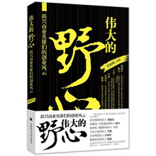 伟大的野心：新兴商业英雄们的创业风云