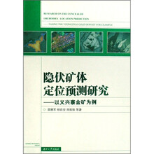 隐伏矿体定位预测研究