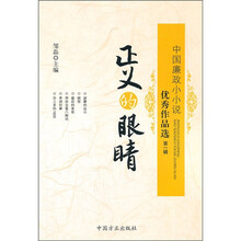 正义的眼睛：中国廉政小小说优秀作品选