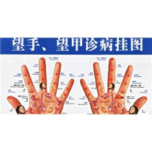 望手，望甲诊病挂图