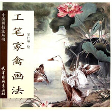 中国画技法丛书：工笔家禽画法