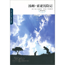 世界文学文库080：汤姆·索亚历险记