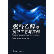 燃料乙醇的制取工艺与实例
