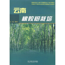 云南橡胶树栽培