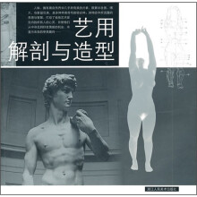 艺用解剖与造型