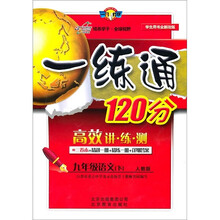 一练通120分：9年级语文（下）（学生用书）（人教版·全新改版）