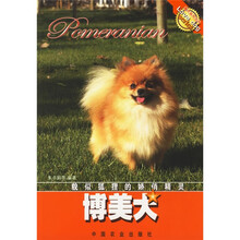 博美犬