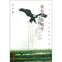 查布大草甸子上的鹰