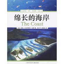 绵长的海岸