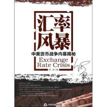 汇率风暴:中美货币战争内幕揭秘