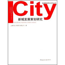 新城发展策划研究