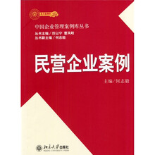 民营企业案例
