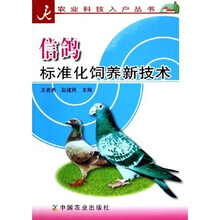 信鸽标准化饲养新技术