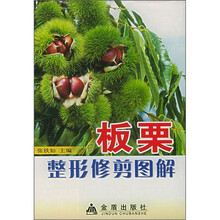 板栗整形修剪图解