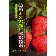 草莓无公害高产栽培技术