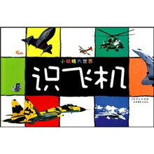 小眼睛大世界：识飞机（续）