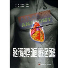 系统解剖学动画感彩色图谱