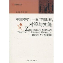 中国实现“十一五”节能目标：对策与实施