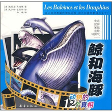 动物的12个真相:鲸和海豚