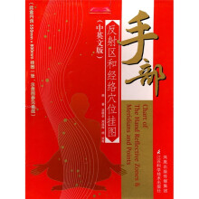 手部反射区和经络穴位挂图