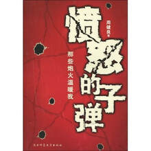 愤怒的子弹:那些炮火温暖我