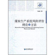 煤炭生产系统风险评价理论与方法