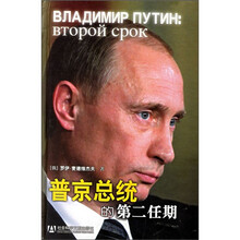 普京总统的第二任期