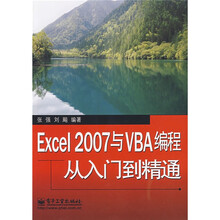 Excel2007与VBA编程从入门到精通