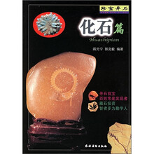 珍宝异石:化石篇