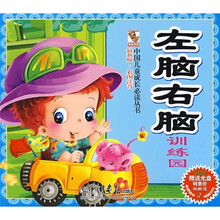 中国儿童成长必读丛书：左脑右脑训练园（最新版·彩图注音）（附光盘）
