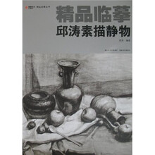 精品临摹:邱涛素描静物