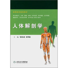 人体解剖学