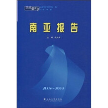 南亚报告