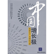 中国增长极：高新区产业组织创新