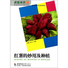 红薯的妙用及种植
