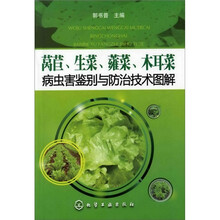 莴苣、生菜、蕹菜、木耳菜病虫害鉴别与防治技术图解