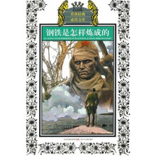 钢铁是怎样炼成的