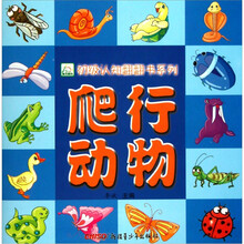 爬行动物（适合0-2岁儿童）