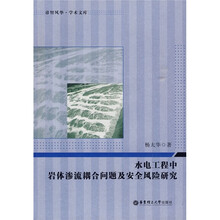 水电工程中岩体渗流耦合问题及安全风险研究