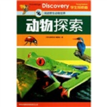 动物探索