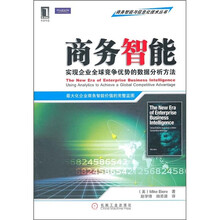 商务智能：实现企业全球竞争优势的数据分析方法