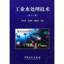 工业水处理技术（第13册）